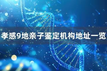 孝感9地亲子鉴定机构地址一览